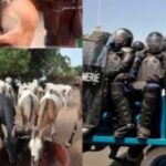 Trump menace de nouveaux droits de douane les pays qui « s&rsquo;alignent » avec les Brics