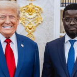 Ardo Gningue introuvable : L’activiste déclaré officiellement en fuite par la Cybersécurité, un avis de recherche lancé