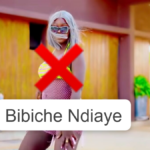 Bassirou Diomaye Faye et le projet d’une ville numérique à 500 milliards de bénéfices