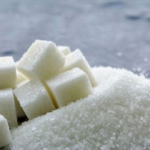 Thierno Alassane Sall sur le Tera-Meeting : « Avec ce rassemblement, Sonko veut montrer sa force au Président Diomaye »