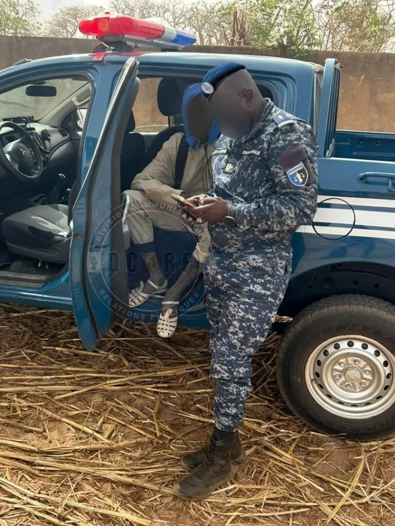 image-5 Nioro : un berger interpellé avec six bœufs volés destinés au marché hebdomadaire