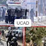 OM : Habib Beye, potentiel successeur de Roberto De Zerbi