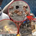 Kaolack : Poignardé par le frère de copine, Dakha Sarr est finalement décédé