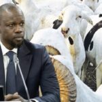 Touba : Comment Cheikh Diop et Khadim Diouf ont transformé ce talibé de 12 ans en objet sexuel