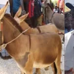 Mario Mbaye se remarie . Découvrez l’heureuse élue