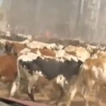 Macky Sall revient à la charge contre Bassirou Diomaye Faye et Ousmane Sonko