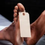 Réseau d’avortements clandestins : coup de filet de la BR de Faidherbe à Keur Serigne Bi…