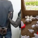 Actes contre nature à Yeumbeul: Surpris par un vigile, un hòmosexuel l’asperge une bömbe asphyxiante